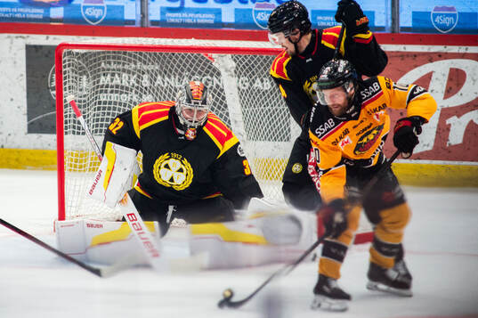 Brynäs målvakt Ludvig Persson