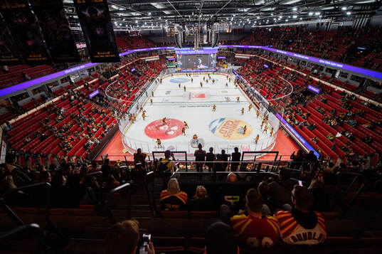 Monitor ERP Arena
