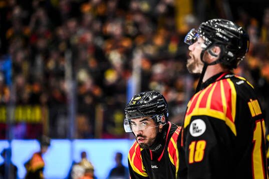 Brynäs Tyler Vesel