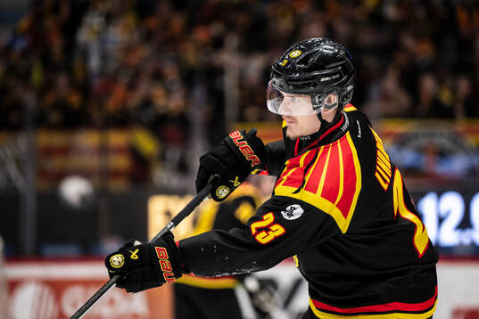 Brynäs Oskar Lindblom