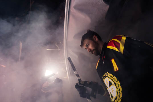 Brynäs Anton Rödin