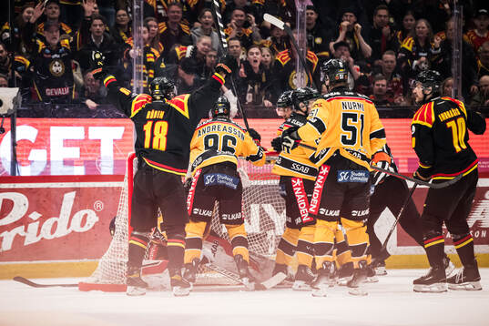 Brynäs Anton Rödin reagerar