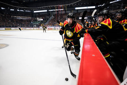 Brynäs Johan Larsson