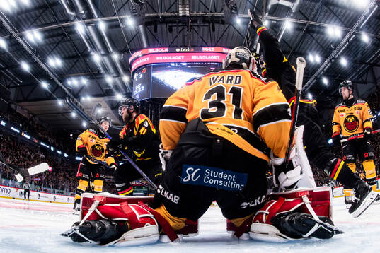 Brynäs Johan Larsson jublar