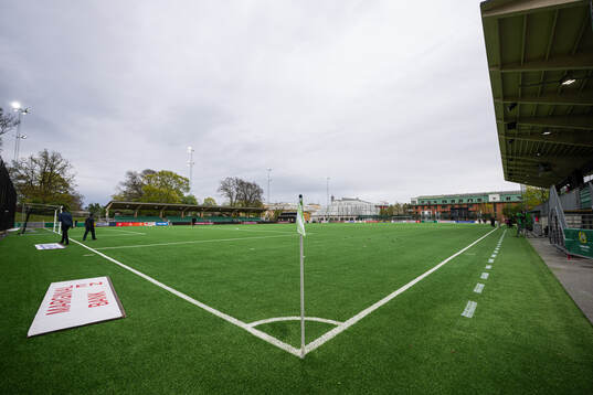 Hammarby IP