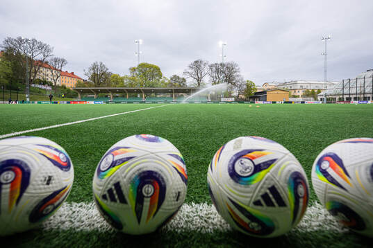 Hammarby IP