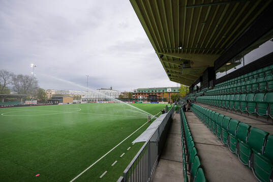 Hammarby IP