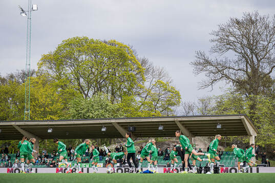 Hammarbys spelare