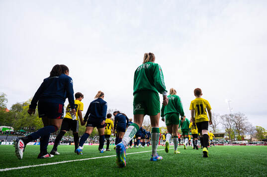 Hammarbys och Rosengårds spelare