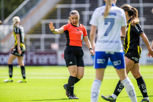 Domare Hanna Laajanen