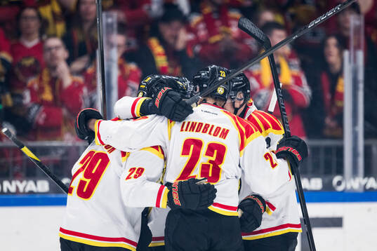 Brynäs Johan Larsson jublar