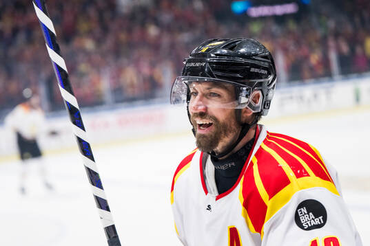 Brynäs Anton Rödin