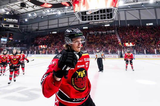 Luleås Marcus Hardegård jublar