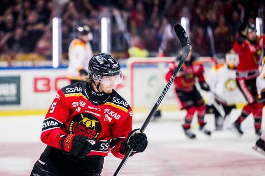 Luleås Marcus Hardegård jublar