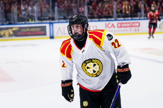 Brynäs Leo Sundqvist