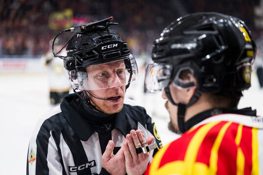 Domare Mikael Holm
