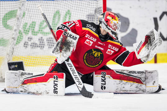 Luleås Matteus Ward