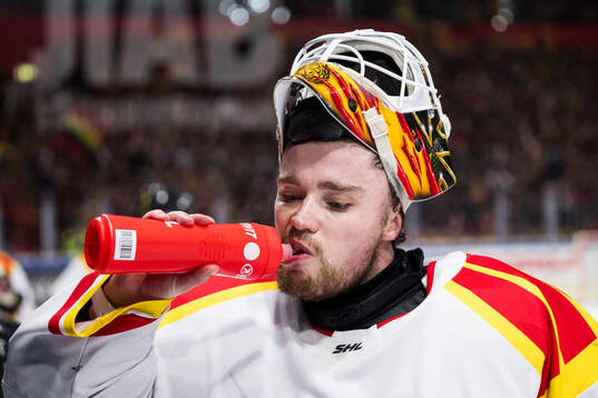 Brynäs Erik Källgren