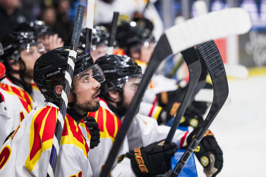 Brynäs Tyler Vesel deppar