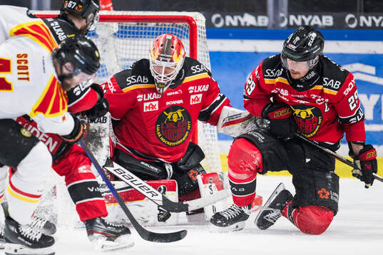 Luleås målvakt Matteus Ward och Erik Gustafsson