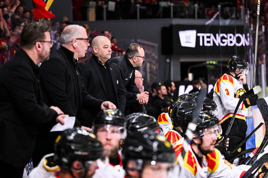 Brynäs tränare Niklas Gällstedt  deppar