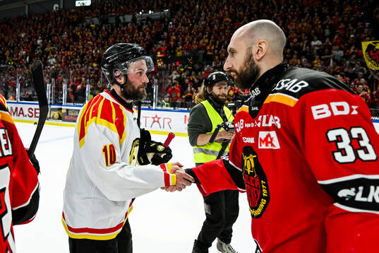 Brynäs Johan Larsson deppar