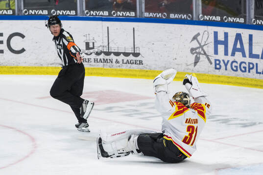 Domare Tobias Björk och Brynäs Erik Källgren