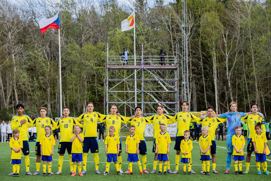 Players of Sweden