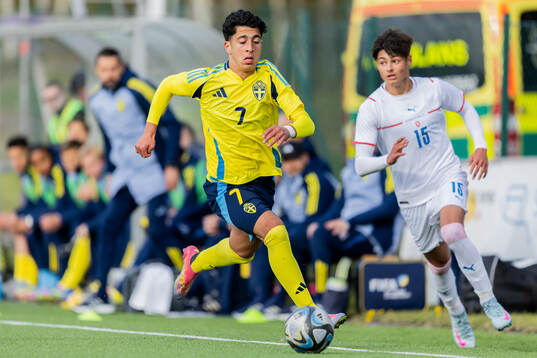 Rayan Bardghji of Sweden and Patrik Bartos of Czech Republic