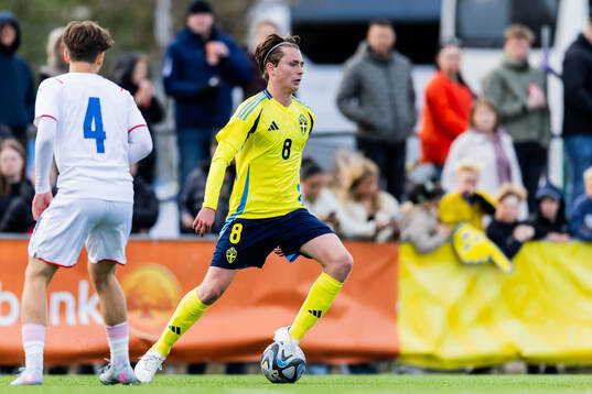 Alexander Johansson of Sweden