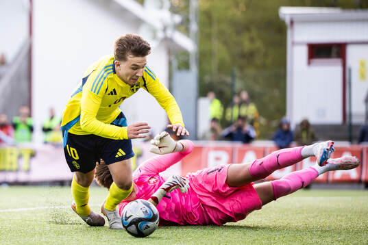 Alexander Odefalk of Sweden and goalkeeper Jakub Vesely of