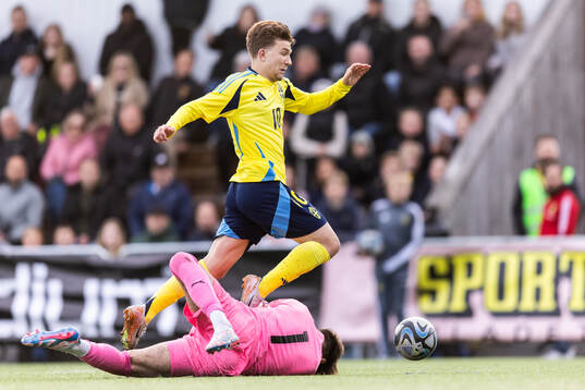 Alexander Odefalk of Sweden and goalkeeper Jakub Vesely of