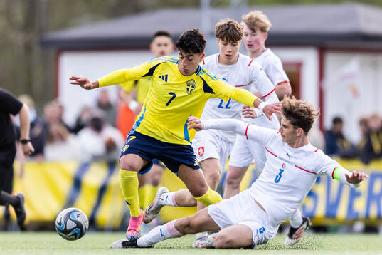 Rayan Bardghji of Sweden and André Thomas Sivok of Czech
