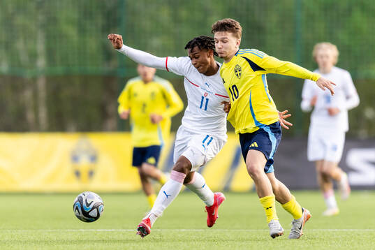 Lewis Azaka of Czech Republic and Alexander Odefalk of