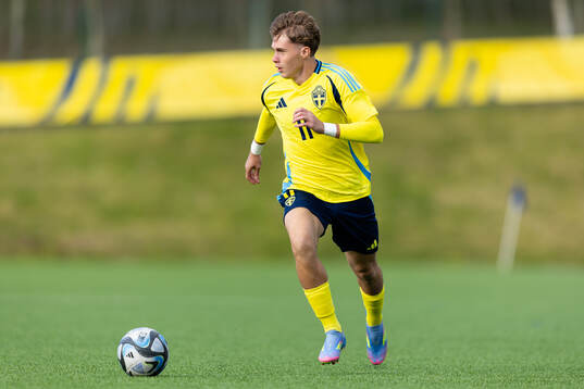Dion Mehmeti of Sweden