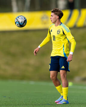 Dion Mehmeti of Sweden