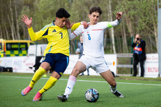 Rayan Bardghji of Sweden and André Thomas Sivok of Czech