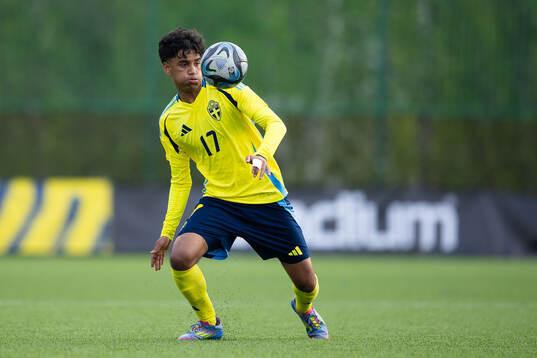 Gabriel Duarte Santos of Sweden
