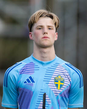 Goalkepper Svante Stangenberg of Sweden