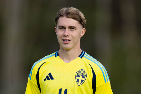 Dion Mehmeti of Sweden