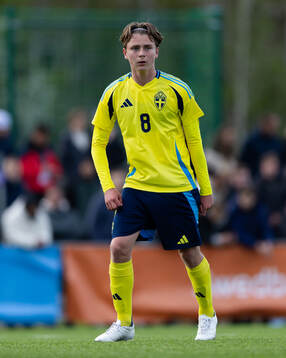 Alexander Johansson of Sweden