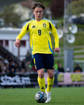 Alexander Johansson of Sweden