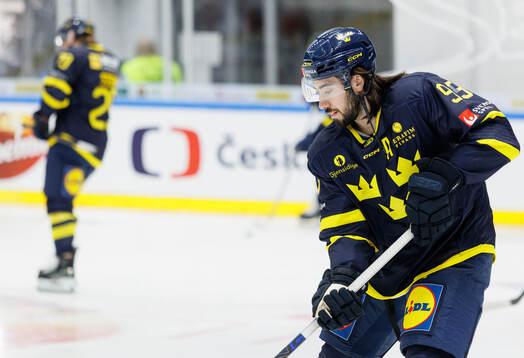 Mika Zibanejad of Sweden