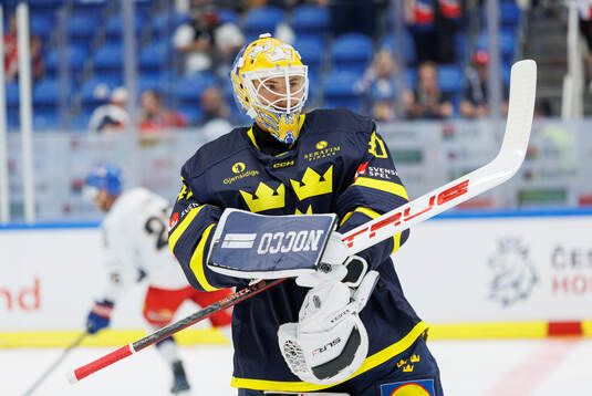 Goaltender Arvid Söderblom of Sweden