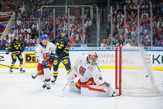 Goaltender Daniel Vladar of Czech Republic