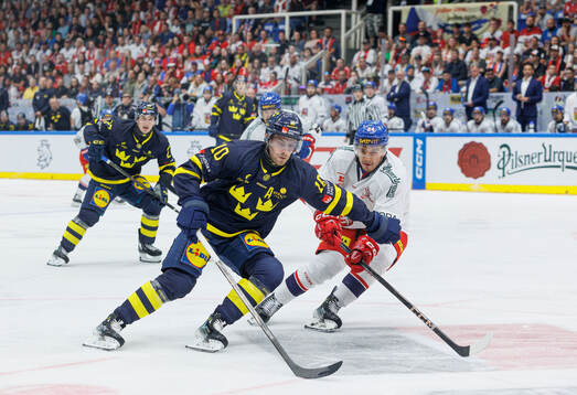 Alexander Wennberg of Sweden and Libor Hajek of Czech