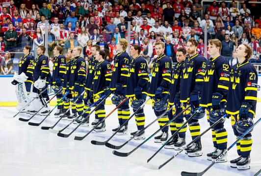Players of Sweden