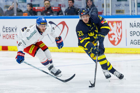 Ondrej Beranek of Czech Republic and André Petersson of