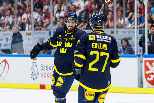 Mika Zibanejad of Sweden celebrates