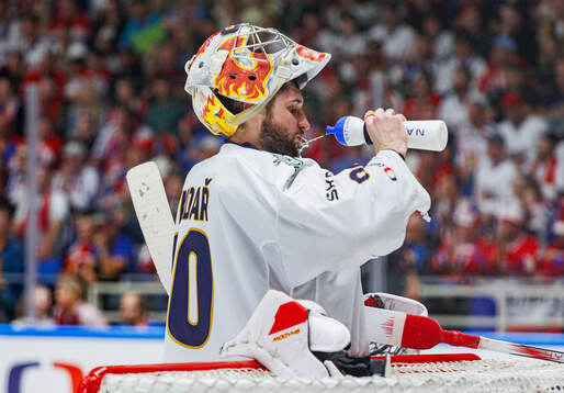 Goaltender Daniel Vladar of Czech Republic